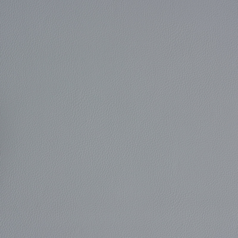 Schumacher | Vegan Leather Indoor/Outdoor fabric - 79555