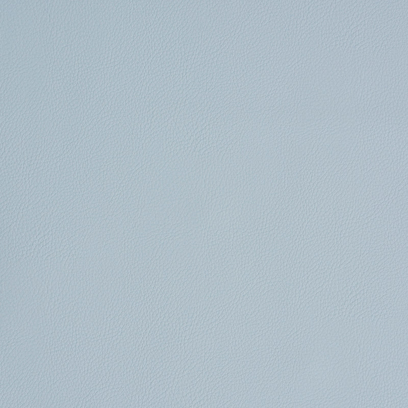 Schumacher | Vegan Leather Indoor/Outdoor fabric - 79556