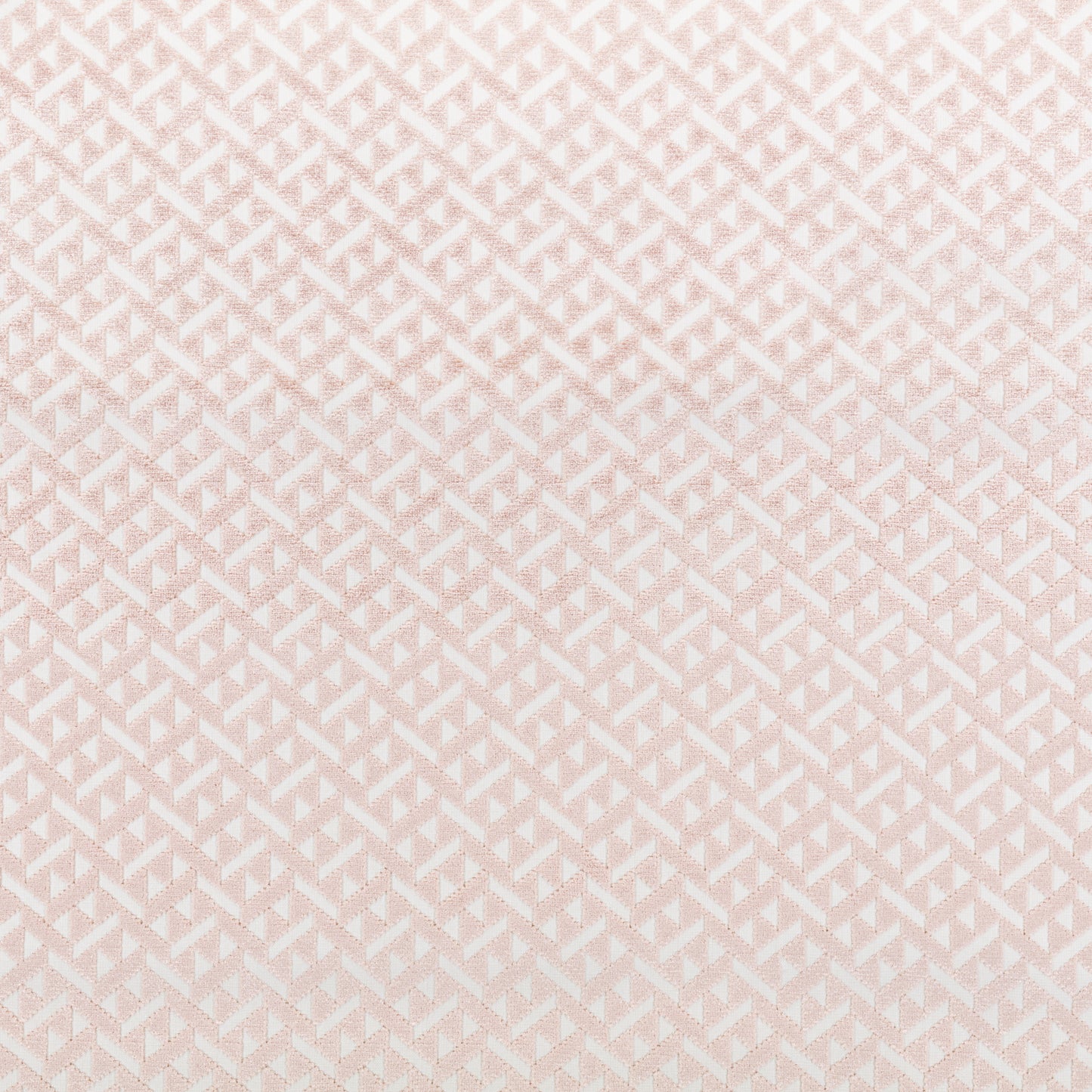 Romo | Toki – Wild Rose