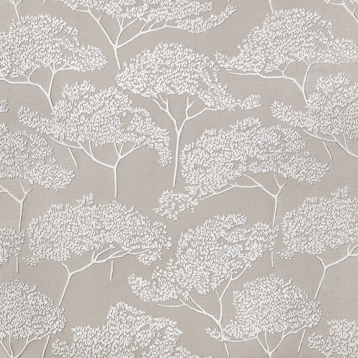 Romo | Itami – Jicama