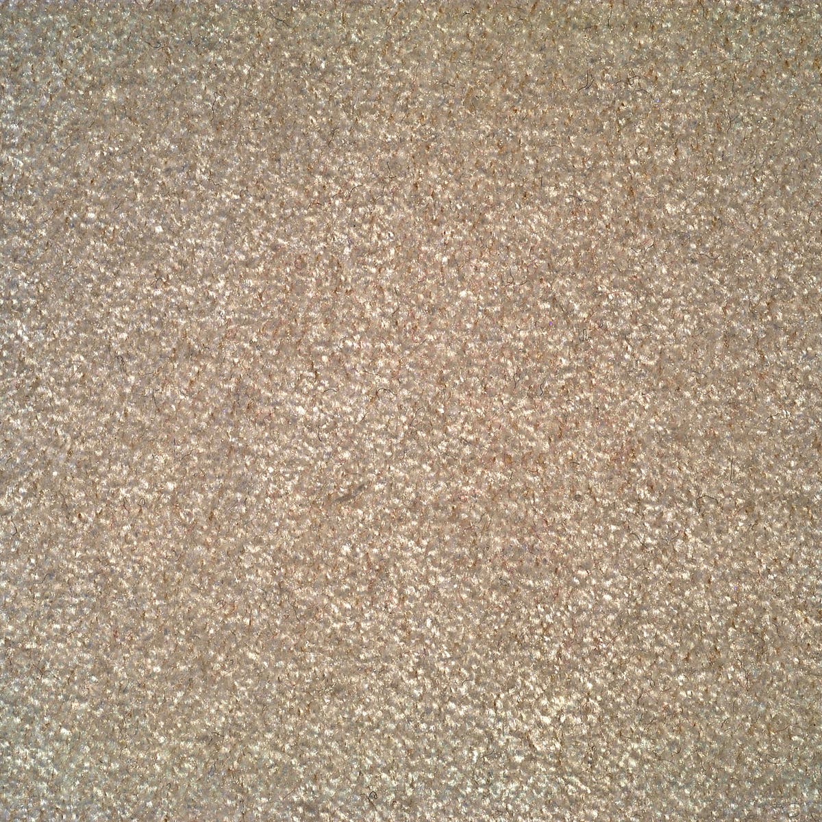 Rubelli Cortez fabric - Argilla