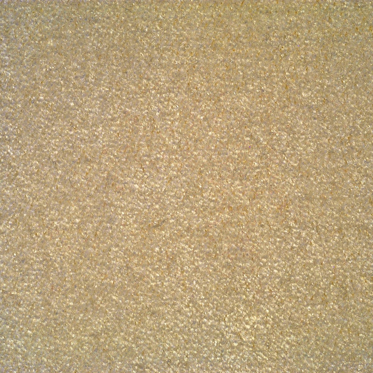 Rubelli Cortez fabric - Beige
