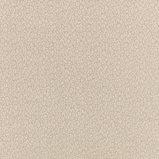 Romo | Kitty – Briosca