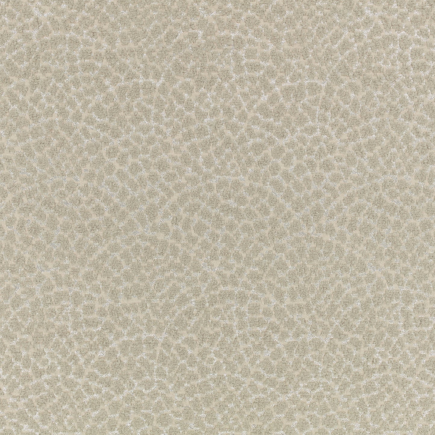 Romo | Lulu – Briosca