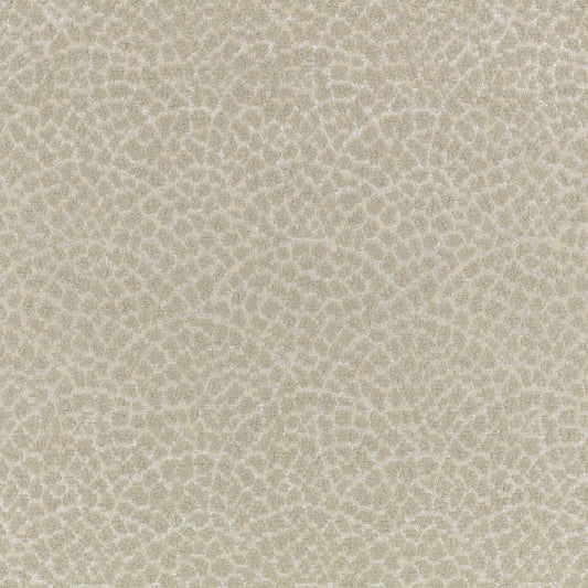 Romo | Lulu – Briosca