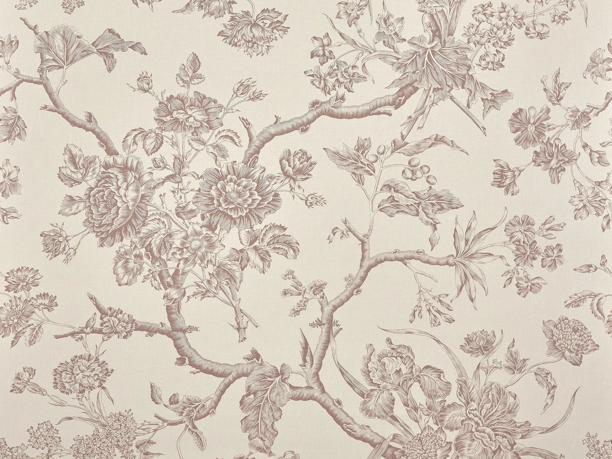 Pierre Frey Chantonnay - Glycine