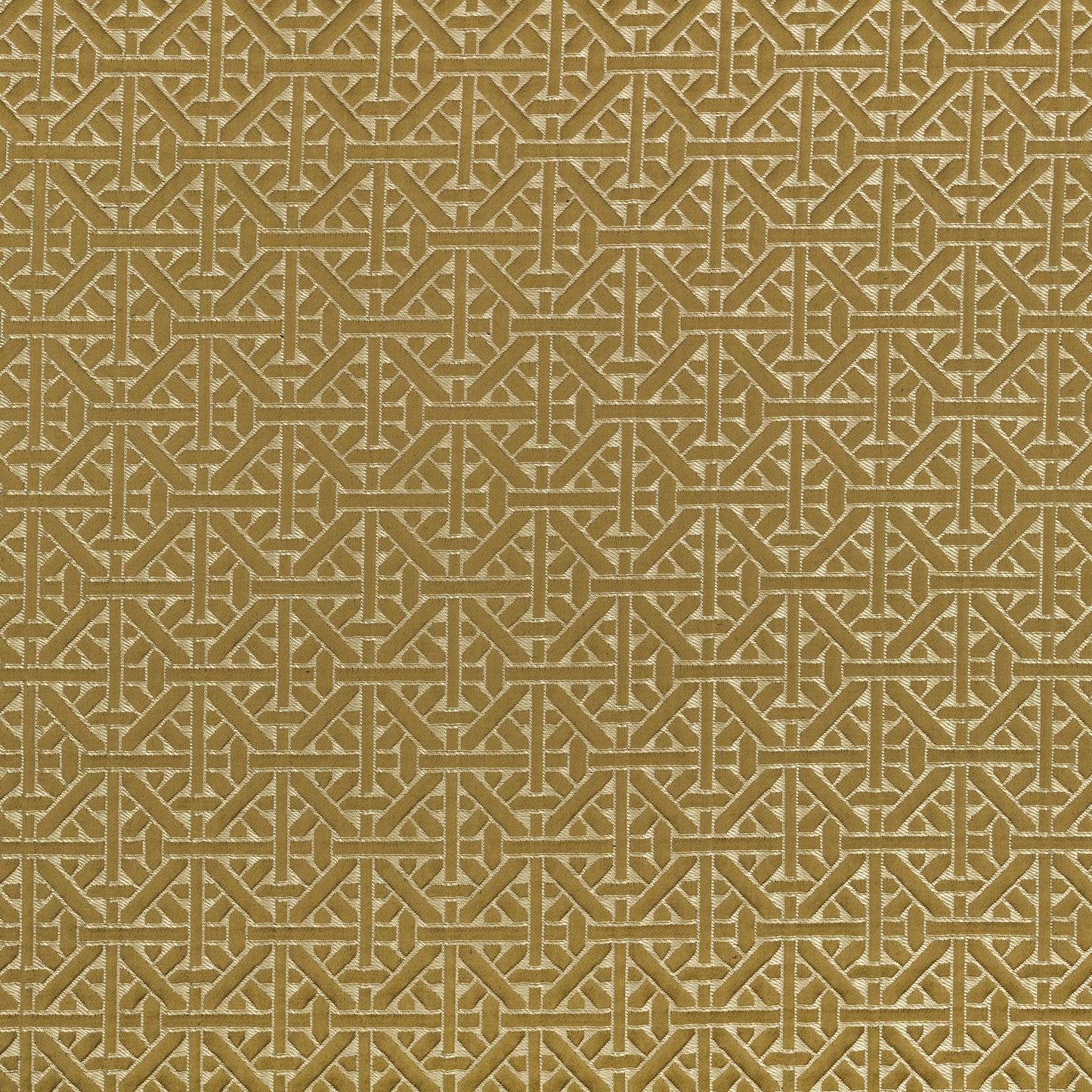Romo | Dita – Olivette