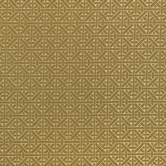 Romo | Dita – Olivette