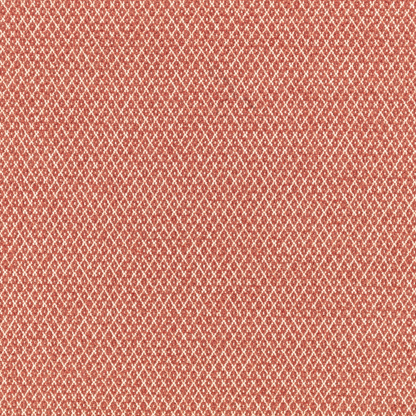 Romo | Quito – Pomelo