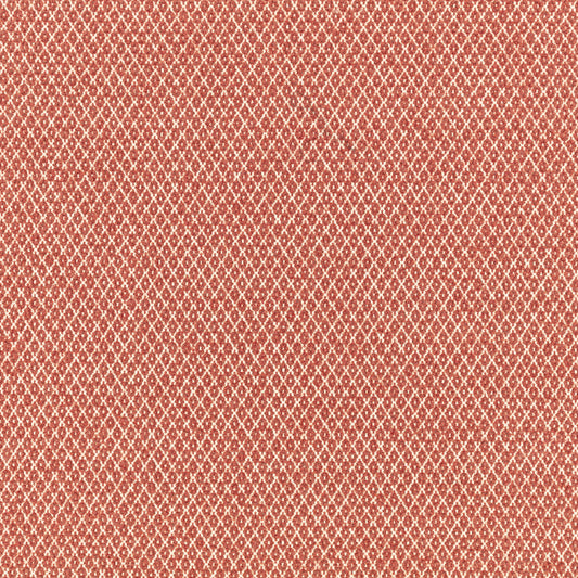 Romo | Quito – Pomelo