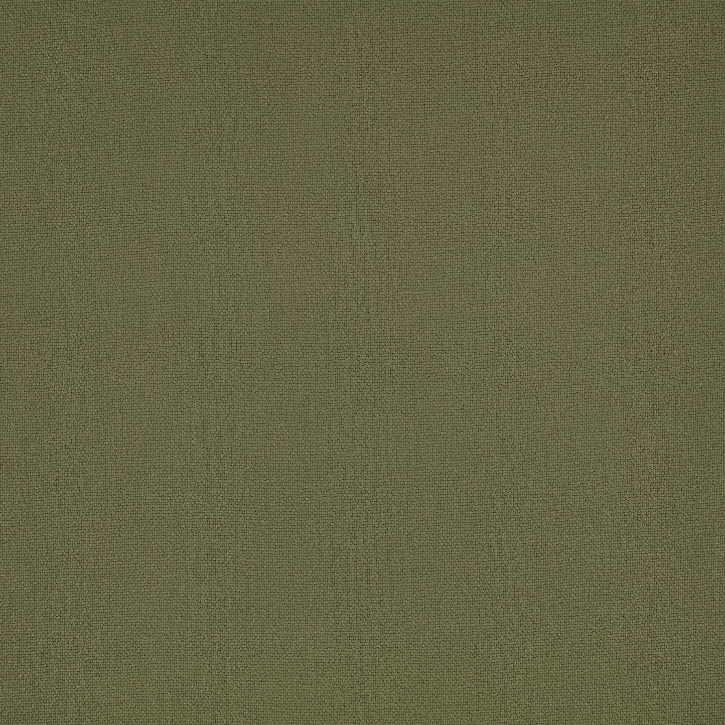 Romo | Elio – Fern