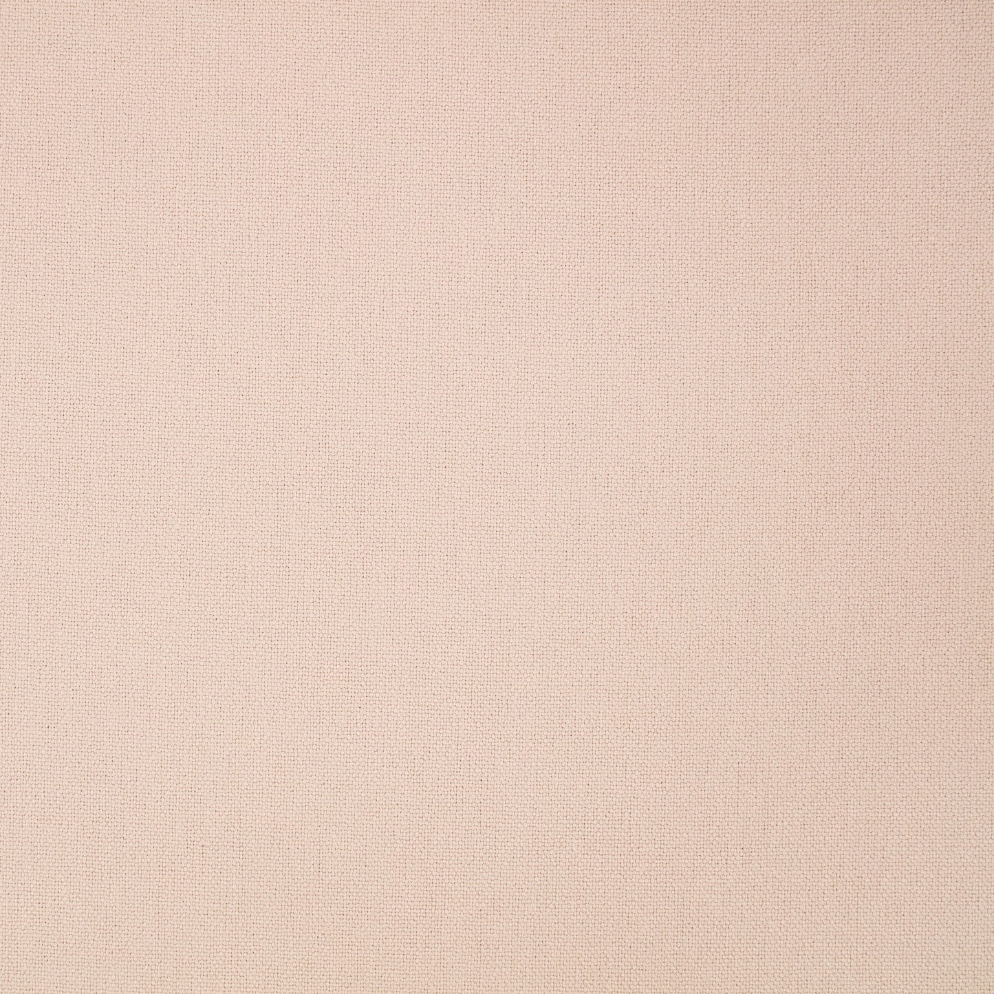 Romo | Elio – Wild Rose