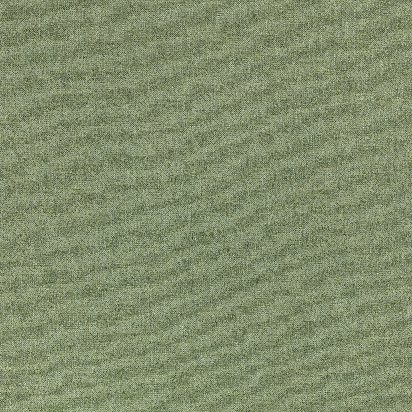 Romo | Kyri – Fern