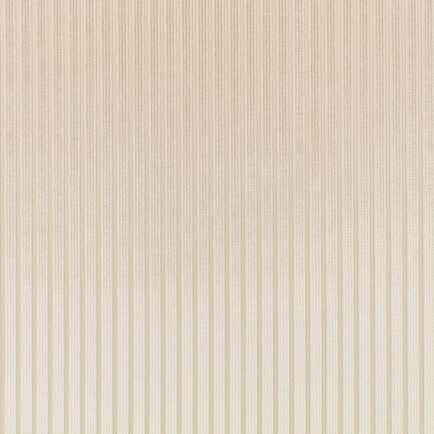 Romo | Stria – Jasmine