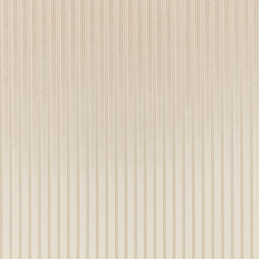 Romo | Stria – Jasmine
