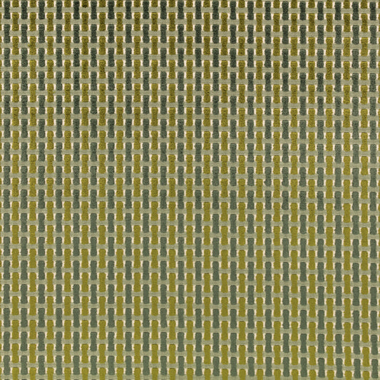 Romo | Atiba – Elm