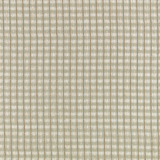 Romo | Elva – Lemongrass