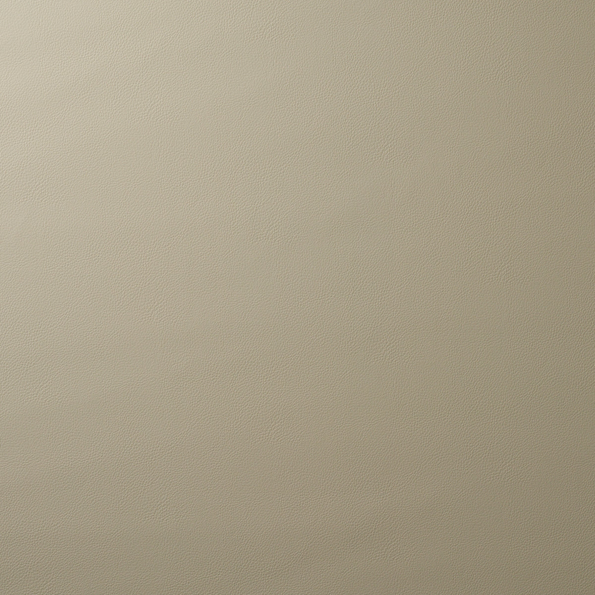 Schumacher | Vegan Leather Indoor/Outdoor fabric - 80904