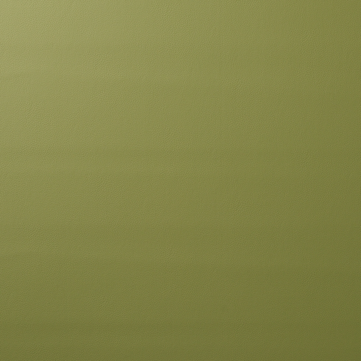 Schumacher | Vegan Leather Indoor/Outdoor fabric - 80907