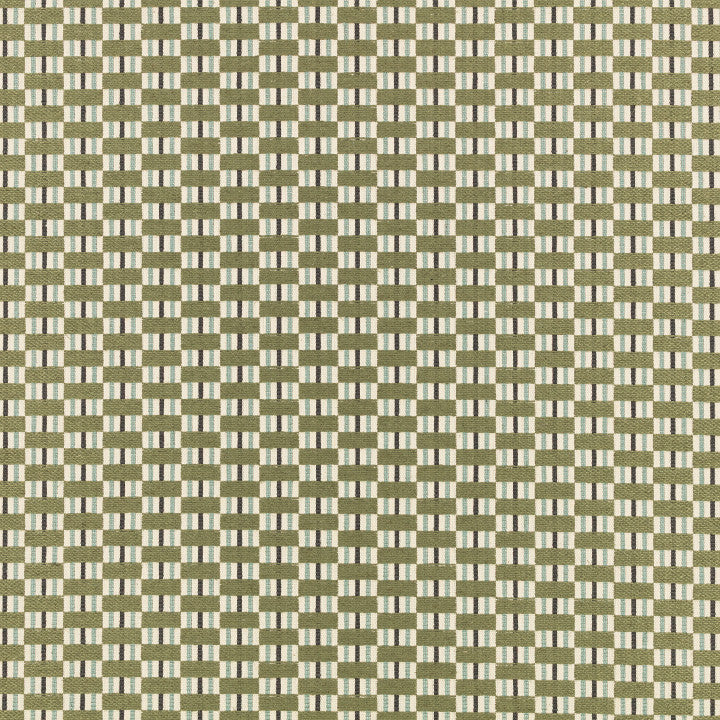 Romo Bodin fabric in Fern