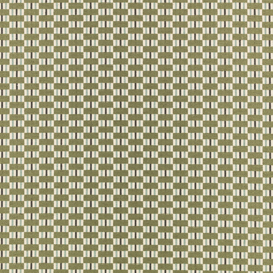 Romo Bodin fabric in Fern