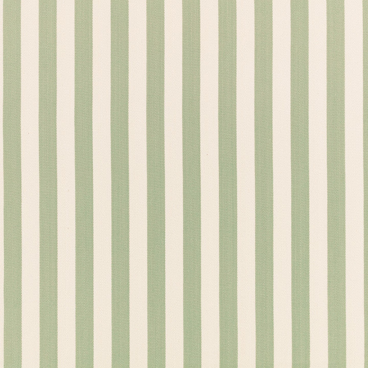 Romo Arie in Sage