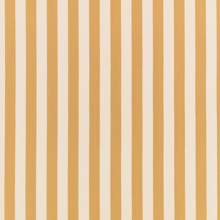 Romo Arie in Ochre