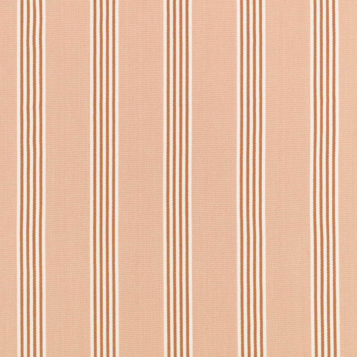 Romo Elvyn in Wild Rose