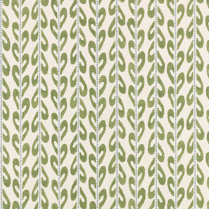 Romo Alden in Kiwi