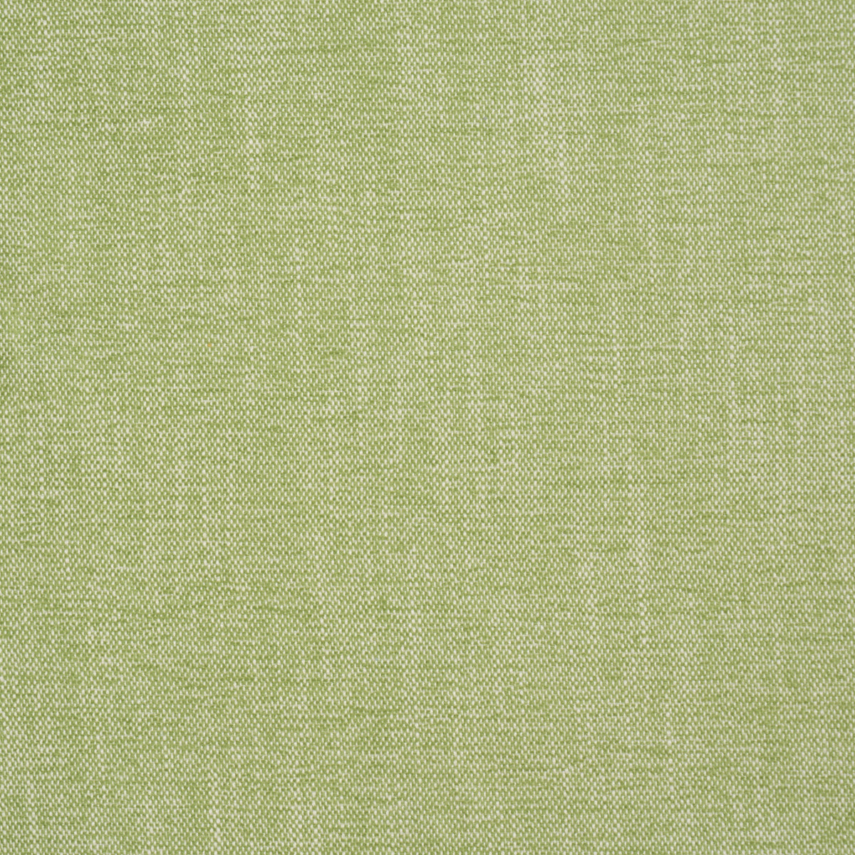 Schumacher | Dean Indoor/Outdoor fabric - 81129
