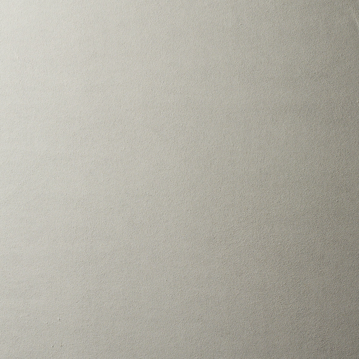 Schumacher | Vegan Suede fabric - 81133