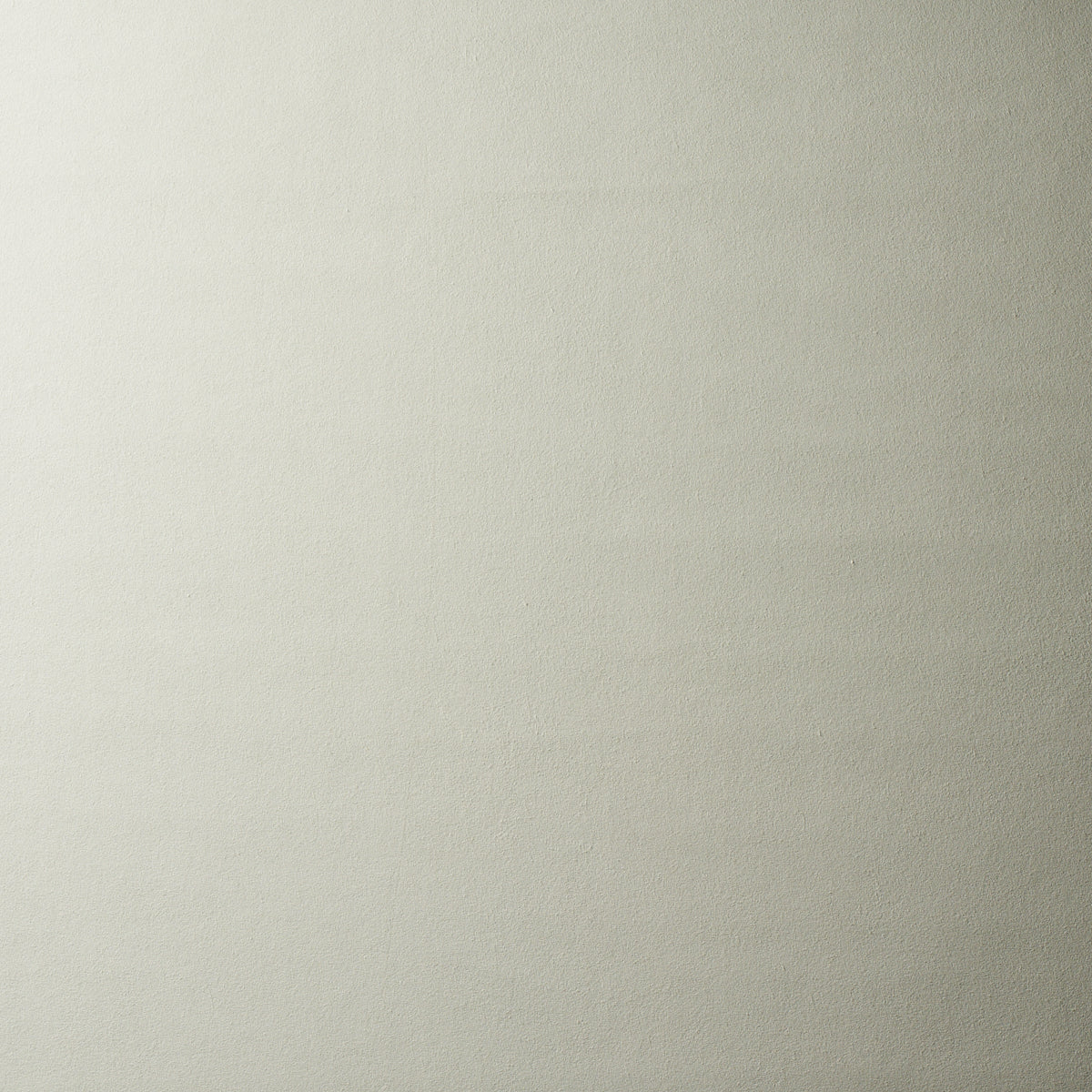 Schumacher | Vegan Suede fabric - 81135