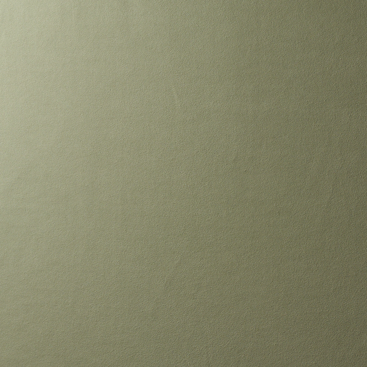 Schumacher | Vegan Suede fabric - 81138