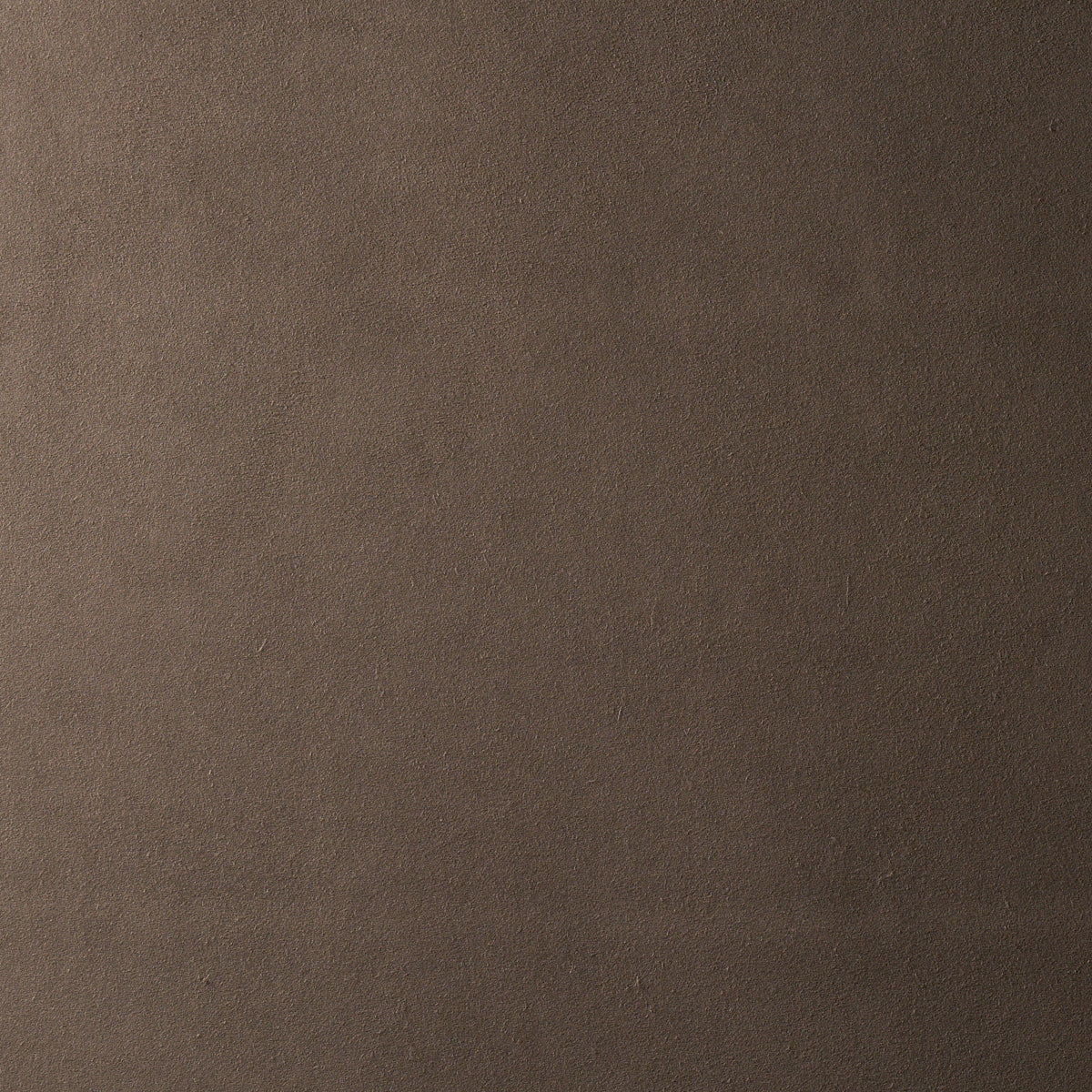Schumacher | Vegan Suede fabric - 81139