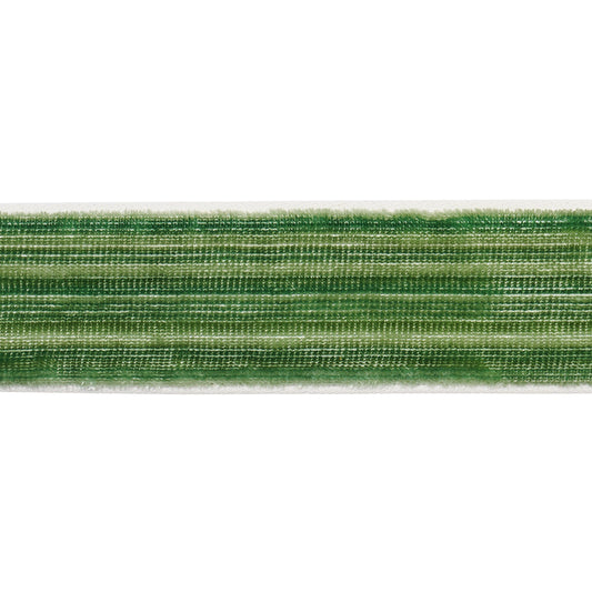 Schumacher | Gaspard Velvet Tape Narrow fabric - 81290