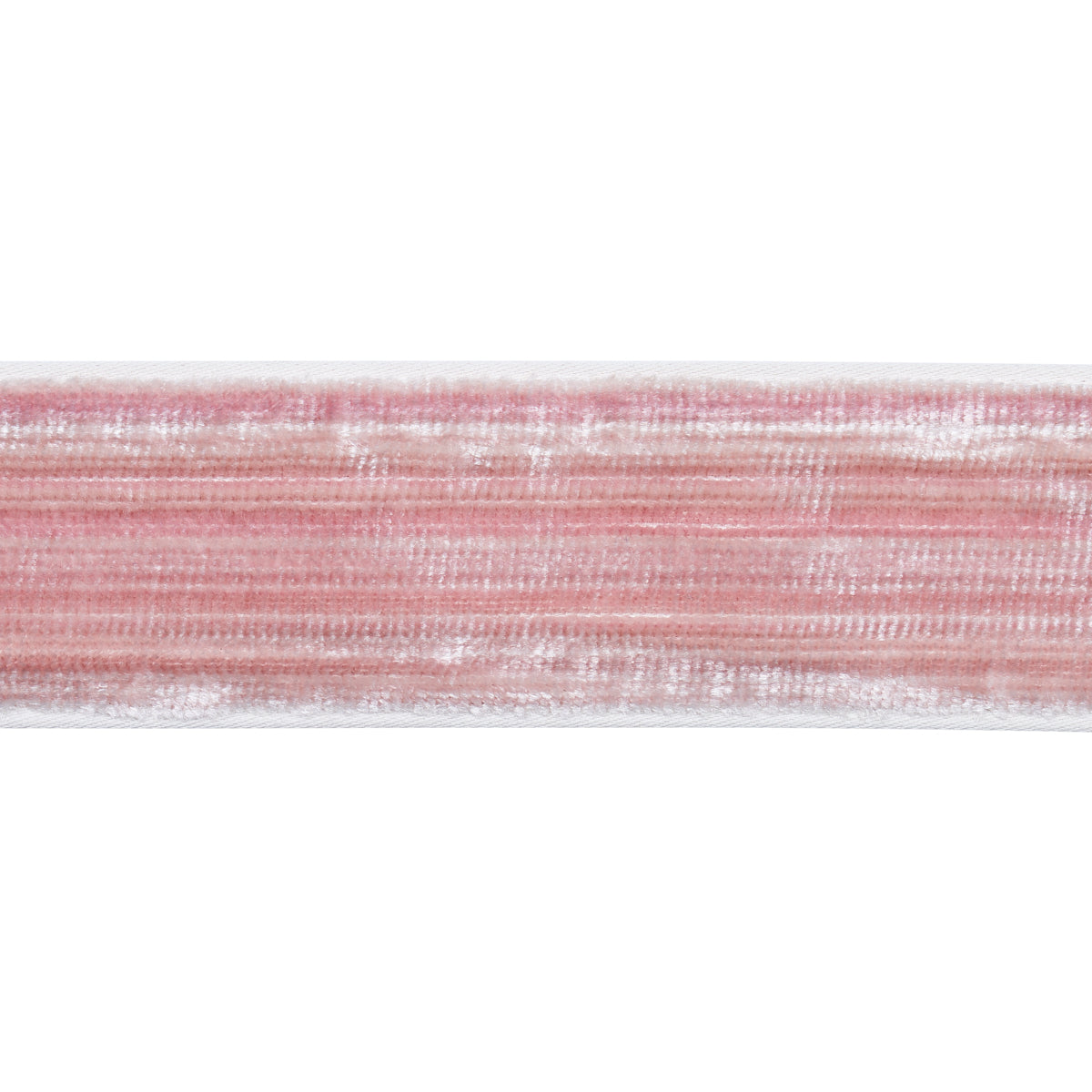 Schumacher | Gaspard Velvet Tape Narrow fabric - 81292