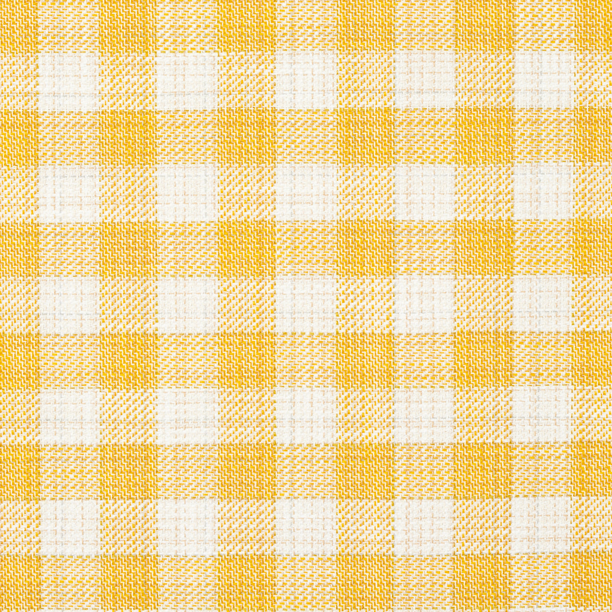 Schumacher | Martina Plaid Indoor/Outdoor fabric - 81413