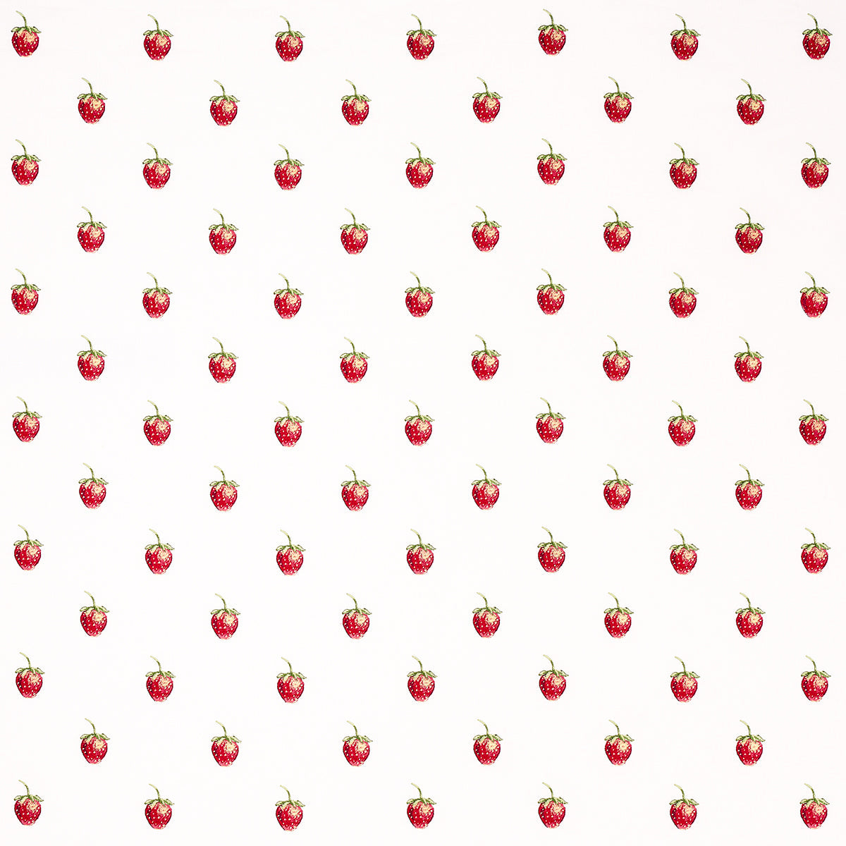 Schumacher | Freshie Fresh fabric - 82280