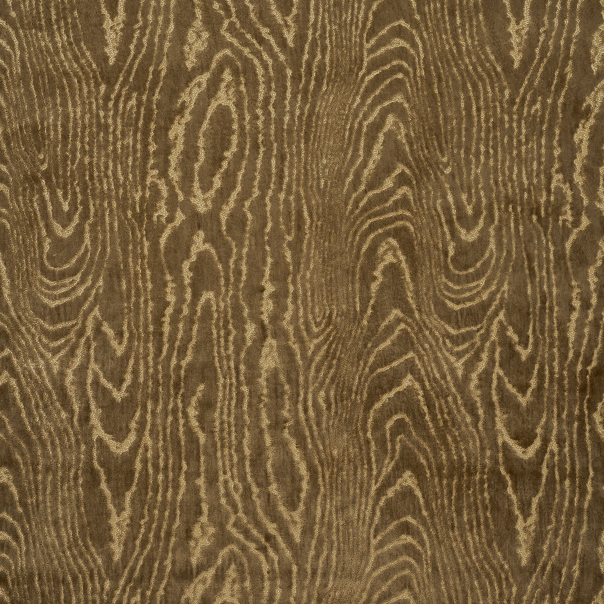Schumacher | Marisa Moire Velvet fabric - 82750