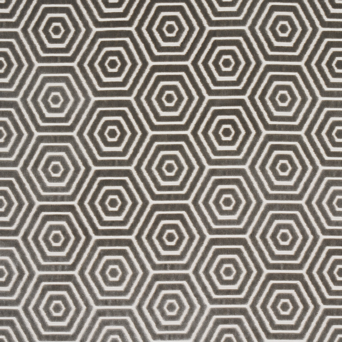 Schumacher | Bees Knees Cut Velvet fabric - 83212
