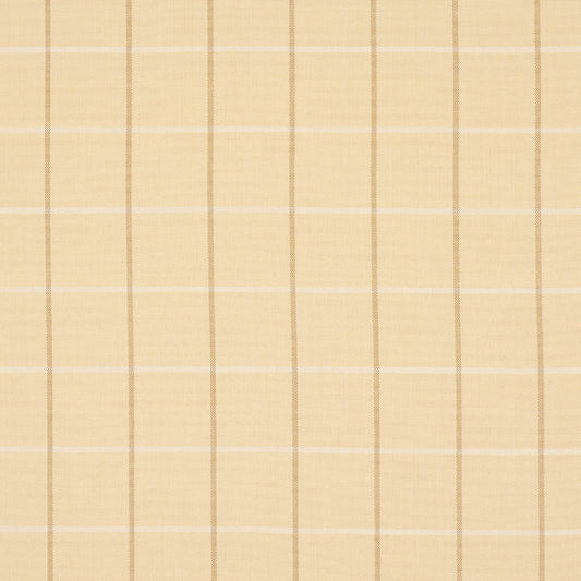 Schumacher | Frannie Windowpane fabric - 83780
