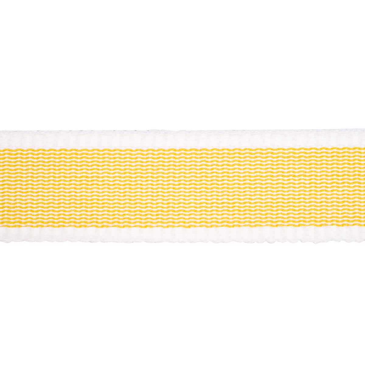 Schumacher | Sandpiper Tape Narrow fabric - 83890
