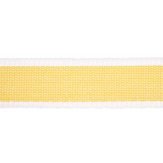 Schumacher | Sandpiper Tape Narrow fabric - 83890