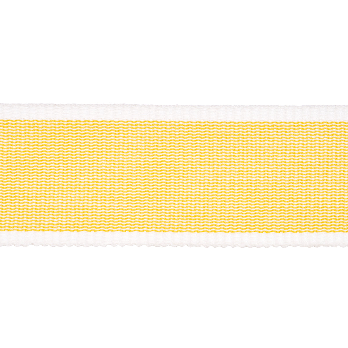 Schumacher | Sandpiper Tape Medium fabric - 84080