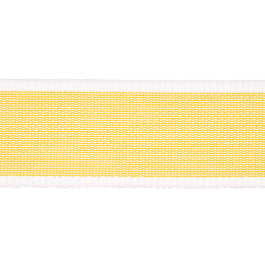 Schumacher | Sandpiper Tape Medium fabric - 84080