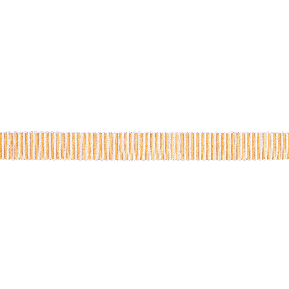 Schumacher | Knox Tape Narrow fabric - 85225