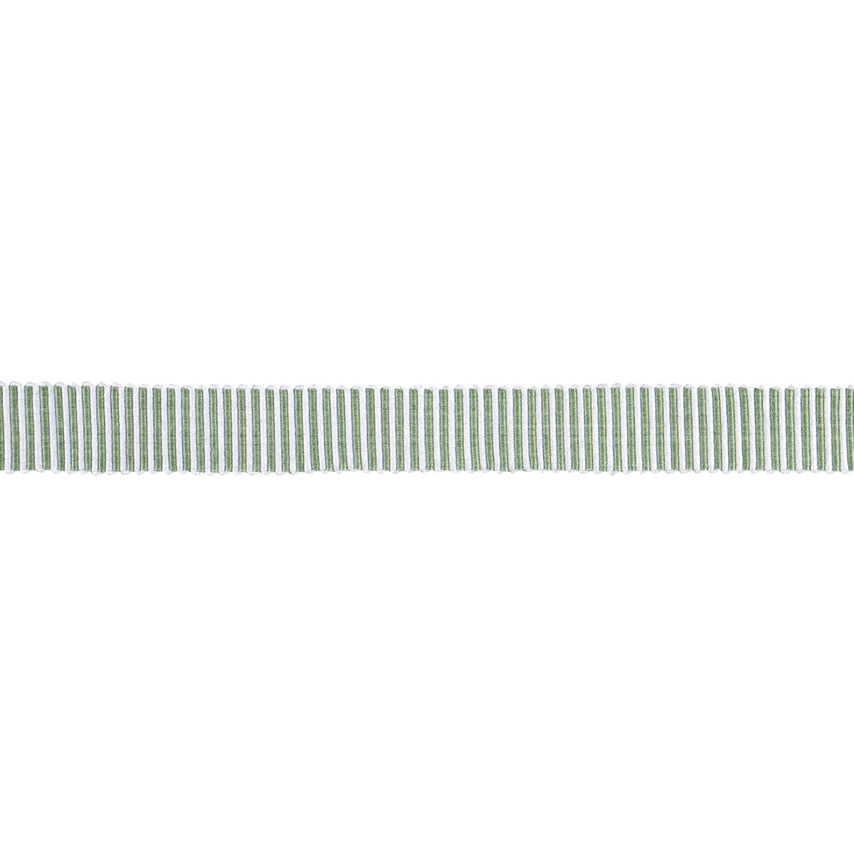 Schumacher | Knox Tape Narrow fabric - 85228