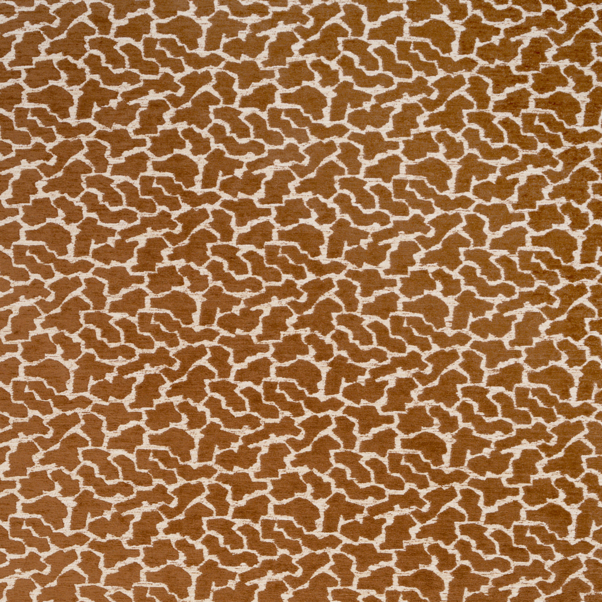 Schumacher | Anibal Performance fabric - 86432