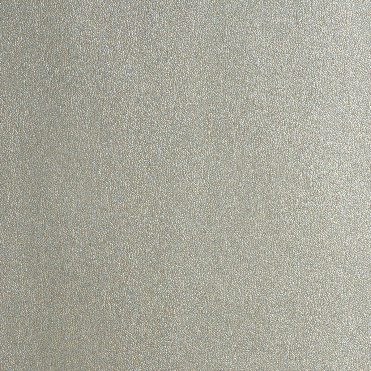Schumacher | Metallic Vegan Leather Outdoor fabric - 86990