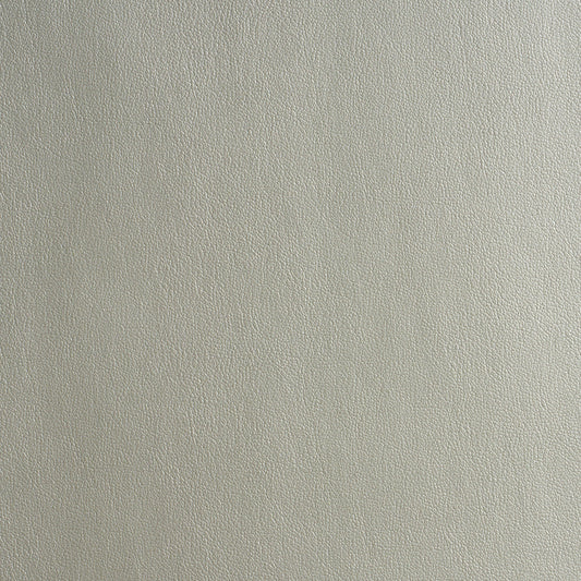 Schumacher | Metallic Vegan Leather Outdoor fabric - 86990